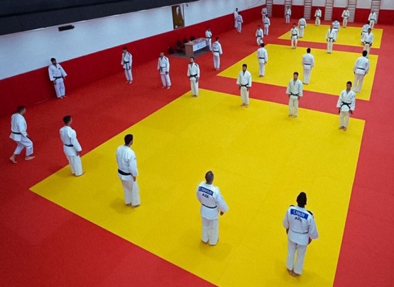 Bakıda cüdo məşqçiləri üçün dan dərəcələri üzrə seminar və imtahan keçiriləcək